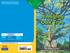 A Mighty Oak Tree. Earth Science. by Kristin Cashore illustrated by Donna Catanese. Scott Foresman Reading Street 1.5.3