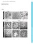 J. Cell Sci. 130: doi: /jcs : Supplementary information. Supplementary figure. Journal of Cell Science Supplementary information