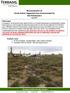 Bioremediation of Sandy Soiled, Vegetated Area Contaminated by Oily Floodwaters Aug 2013