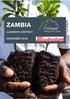 WeForest Project Report Zambia, Luanshya District November 2018 ZAMBIA LUANSHYA DISTRICT NOVEMBER Photo: WeForest
