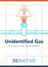 Unidentified Gas. Executive Summary