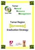 Tamar Natural Resource Management. Tamar Region. Eradication Strategy