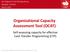 Organizational Capacity Assessment Tool (OCAT)