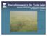 Starry Stonewort in Big Turtle Lake Nicole Kovar, MNDNR NW R1 Invasive Species Specialist AIS Summit II, St. Cloud MN 10/6/2016