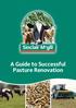 A Guide to Successful Pasture Renovation
