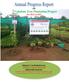 OF Vodafone Tree Plantation Project For 2012 to 2013
