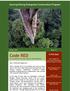 Code RED An e-newsletter from your friends in West Kalimantan. Gunung Palung Orangutan Conservation Program. In This Issue: