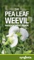 WEEVIL PEA LEAF THE MANAGEMENT GUIDE