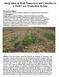 Integration of Field Pennycress and Camelina in a Field Corn Production System