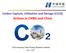 Carbon Capture, Utilization and Storage (CCUS) Actions in CHNG and China