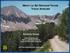 Travel Analysis. Richard M. Warnick. USDA Forest Service. Manti-La Sal National Forest. Resource Information Specialist