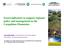 Forest indicators to support regional policy and management in the Carpathian Mountains