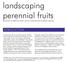 landscaping perennial fruits