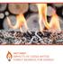 FACT SHEET IMPACTS OF USING NATIVE FOREST BIOMASS FOR ENERGY