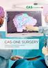 CASCINATION CAS-ONE SURGERY STEREOTACTIC NAVIGATION SYSTEM FOR ABDOMINAL SURGERY