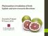 Phytosanitary irradiation of fruit: Update and new research directions. Anuradha Prakash PI Forum 2018