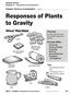 Responses of Plants to Gravity