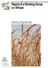 Report of a Working Group on Wheat
