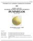 UNIVERSITY OF CALIFORNIA COOPERATIVE EXTENSION SAMPLE COSTS TO ESTABLISH A PUMMELO ORCHARD AND PRODUCE PUMMELOS SPECIALITY CITRUS