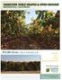Maricopa Table Grapes & Open Ground Bakersfield, California