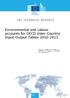 Environmental and Labour accounts for OECD Inter-Country Input-Output Tables