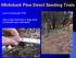 Whitebark Pine Direct Seeding Trials