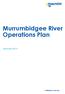 Murrumbidgee River Operations Plan