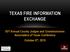 TEXAS FIRE INFORMATION EXCHANGE. 93 rd Annual County Judges and Commissioners Association of Texas Conference October 6 th, 2015