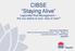 Staying Alive CIBSE. Legionella Risk Management Are you aware of your duty of care?