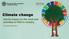 Climate change and its impact on the work and activities of FAO in forestry