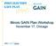 Illinois GAIN Plan Workshop November 17, Chicago
