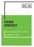 PZEM PZEM ENERGY. Asset optimization Trading Origination B2B