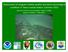Assessment of seagrass habitat quality and plant physiological condition in Texas coastal waters: Summer 2012