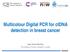 Multicolour Digital PCR for ctdna detection in breast cancer. Isaac Garcia-Murillas The Institute of Cancer Research, London