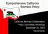 Comprehensive California Biomass Policy. California Biomass Collaboration Policy Committee Workshop November 24, 2003 Sacramento