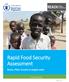 Rapid Food Security Assessment