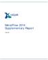 MetalFlow 2014 Supplementary Report