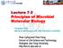 Lecture 7-2 Principles of Microbial Molecular Biology