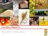 Flour Mills of Nigeria Plc Nine-month 2012/13 Results Presentation