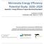 Minnesota Energy Efficiency Potential Study: Appendix I: Energy Efficiency Program Benchmarking Report