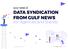 DATA SYNDICATION FROM GULF NEWS For Agencies and Brands