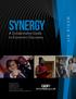 Synergy MEDIA KIT. A Collaborative Guide to Economic Discovery