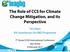 The Role of CCS for Climate Change Mitigation, and its Perspective