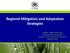 Regional Mitigation and Adaptation Strategies