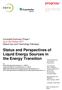 Status and Perspectives of Liquid Energy Sources in the Energy Transition