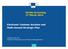 Serbia Screening 27 March Electronic Customs decision and Multi-Annual Strategic Plan. TAXUD, Unit A3 Customs Processes and Project Management