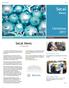 SECAL NEWS Issue 4. In this Newsletter, you will find stories about our new Tube Bender, the Fiber Laser and much more!
