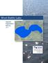 West Battle Lake. Aquatic Vegetation Survey County Highway 6 Detroit Lakes, MN (218)