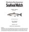 Atlantic salmon. Faroe Islands Marine Net Pens