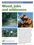 Wood, jobs. and wilderness. Forestry dependent communities and. The future of Ontario s Forests